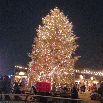 横浜で過ごす、光と味わいのひととき♡