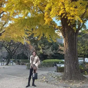 今年も間に合いました！靖国神社の銀杏鑑賞