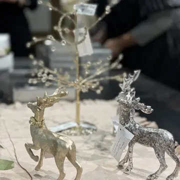 Christmas Treeがラッキーアイテムみたい🌲_1_1-2