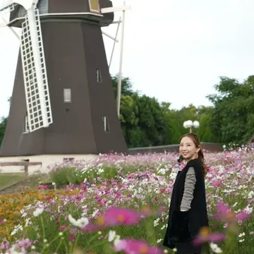 秋空とコスモスの丘✨