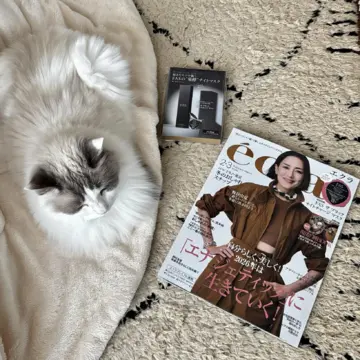 12月29日、いろいろ納めてきました。