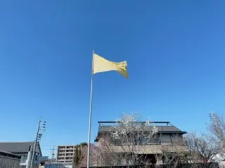黄色い旗