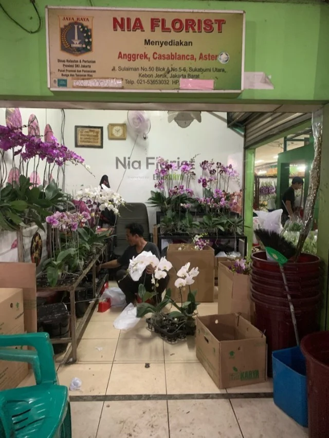 ジャカルタの花市場、Rawa Belong Flower Marketへ♪_1_8