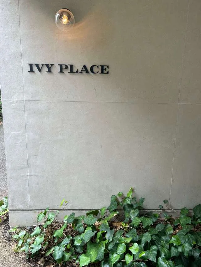 代官山　IVY PLACE