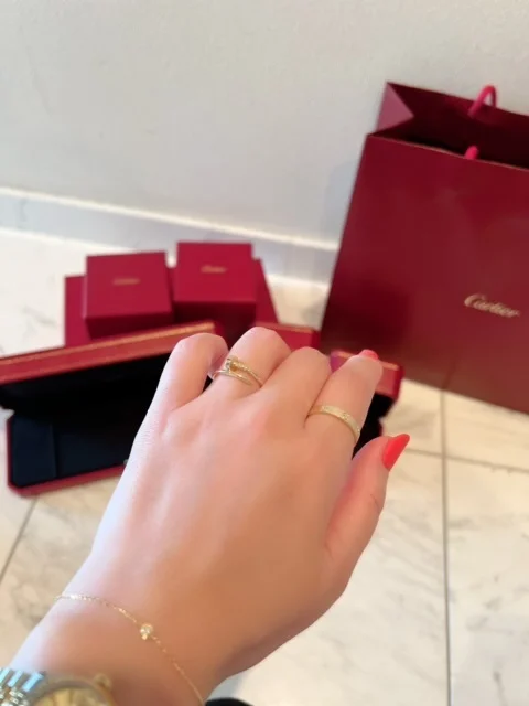 nyu nyu ヘアークリップ 猫 cartier ダムールブレスレット-