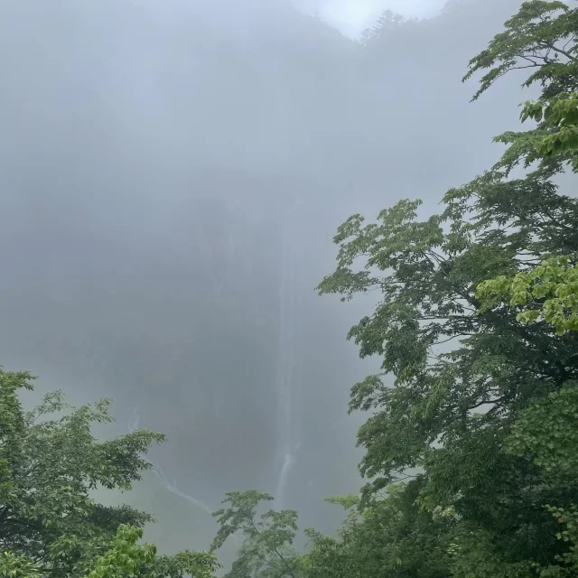 弾丸で日光・鬼怒川に行ってきました！【五色の旅行記】_1_6-2