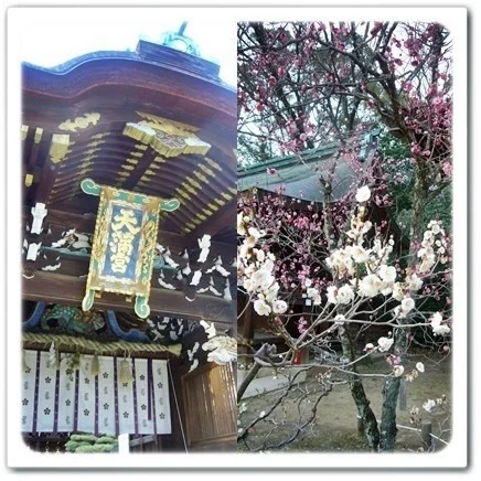 桜の前に出掛けてみませんか？京都で出会う梅の頃_1_2