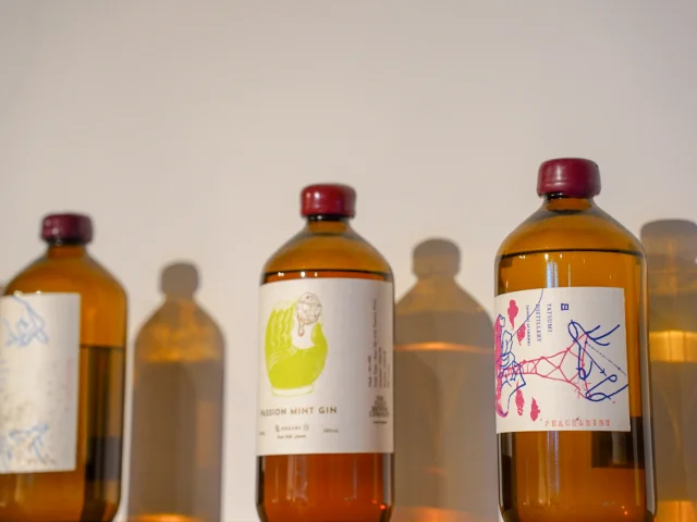 VISON 本草研究所　RINNE