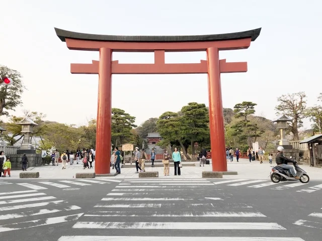 自然豊かな古都・鎌倉へ！移住しました！