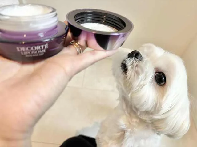 【HACCI・デコルテ・クレドポー】クリスマスコフレ＆スペシャルケアでご褒美美容_1_17