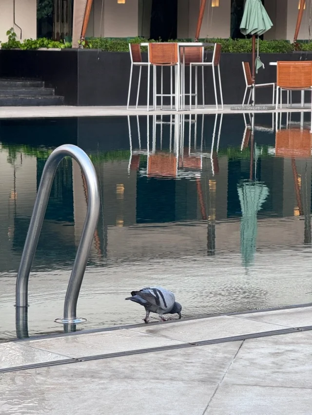 突然ですが、バンコクに来ました。_1_10