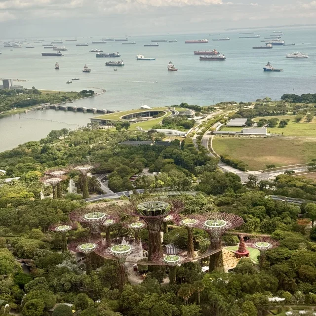 マリーナベイサンズ55階からの景色を眺めながら点心に舌鼓。8月オープンの新店！_1_5