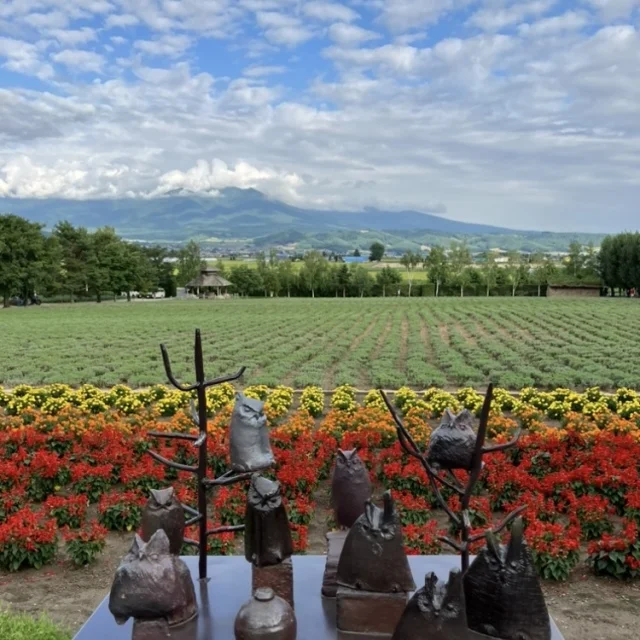 夏の北海道　家族旅 \3日目　富良野編/_1_4-2