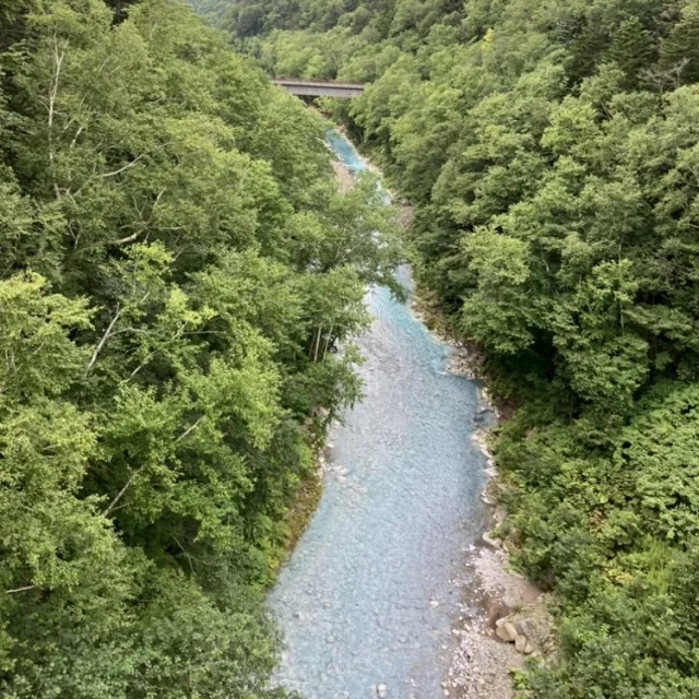 夏の北海道　家族旅 \3日目　富良野編/_1_2-2