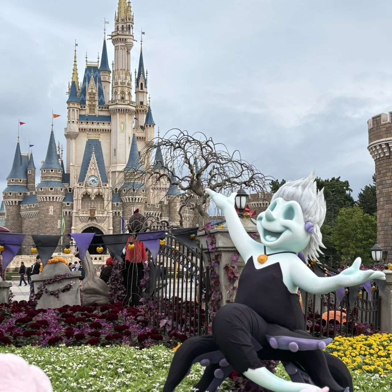 やっぱりディズニーランドは“夢の国”