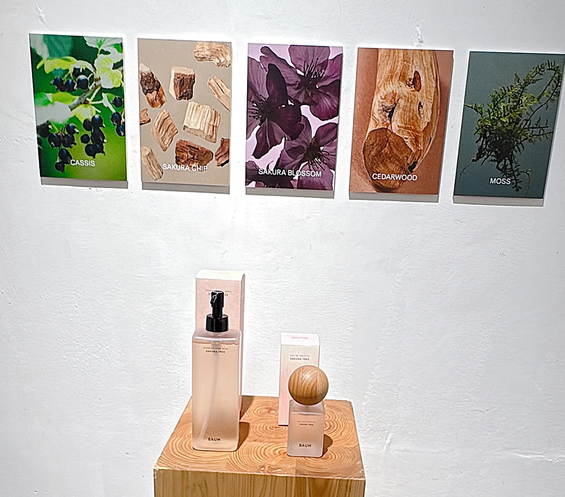 桜のフレグランスも！ 早春にまといたいおすすめの香りまとめ　BAUM：サクラツリー　発表会の写真　香りの解説