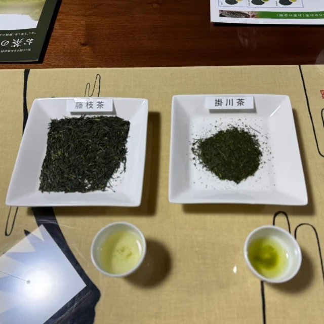 海鮮・日本酒・お茶を巡る。静岡、至福のひととき【静岡グルメ】_1_24-2