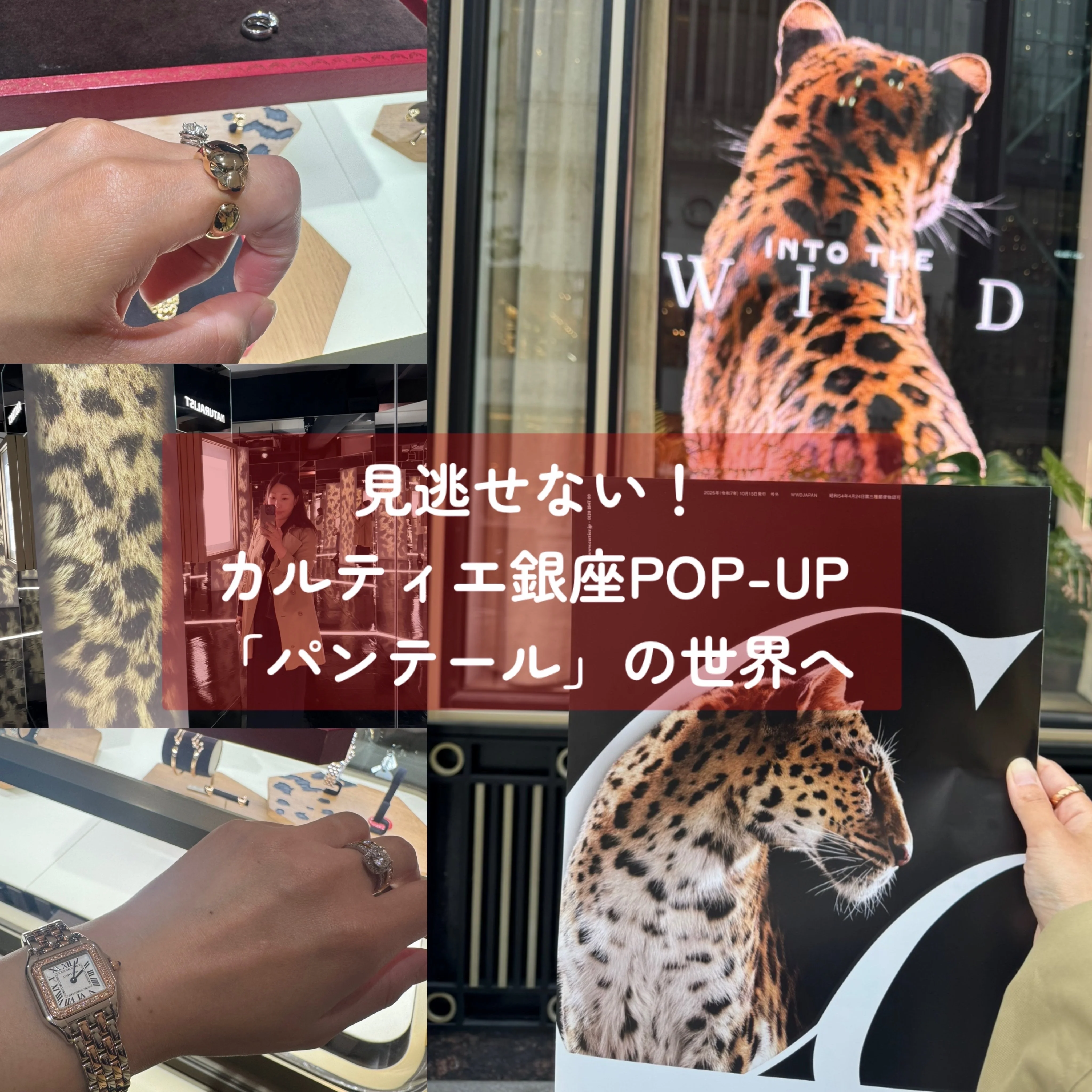 カルティエ銀座POP-UP「パンテール」の世界へ