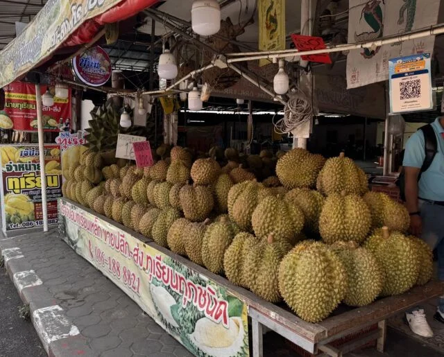 40代の初チェンマイ２日間ひとり旅｜カオソーイか否か、それが問題の【後編】_1_9