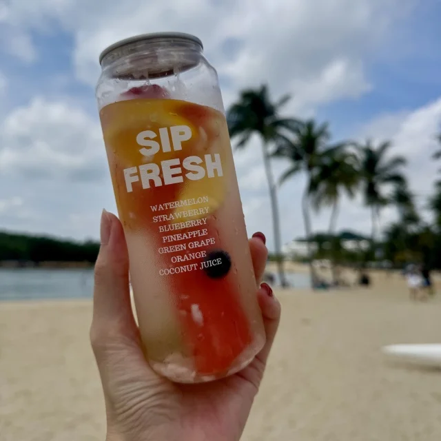 日焼けして手に入れた、新しい習慣！2026年の目標など_1_4