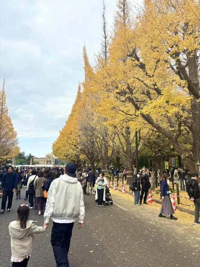 【東京クリスマスマーケット2025】神宮外苑いちょう並木も楽しめる_1_3-1