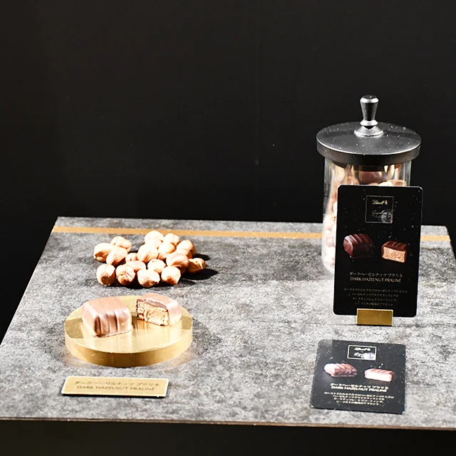 Lindt(リンツ）スイス発チョコレートブランド　プラリネ　メルティーショコラティエ　フランスのチョコレート職人　特別販売　期間限定のチョコレートギフト　手土産セレクション　パーティーのお取り寄せ