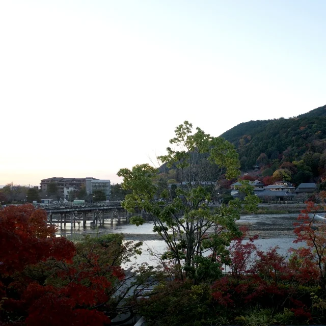 京都の嵐山で紅葉狩り♡_1_1-1