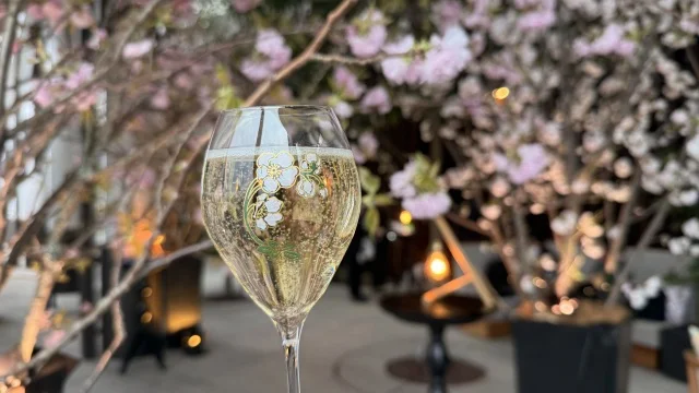 アンダーズ 東京で夜桜を満喫！東京タワーを臨む春限定ルーフトップ バー体験レポ_1_1