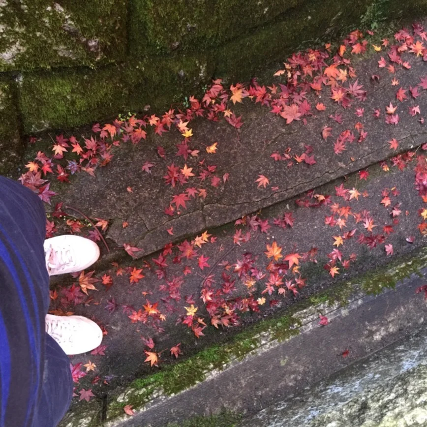 高尾山、紅葉真っ盛り！見頃ですよー。_1_4