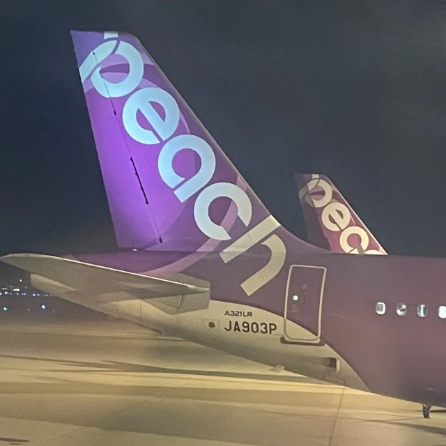 関西発！LCCで行く！子連れシンガポール旅行！【出発前〜機内編】