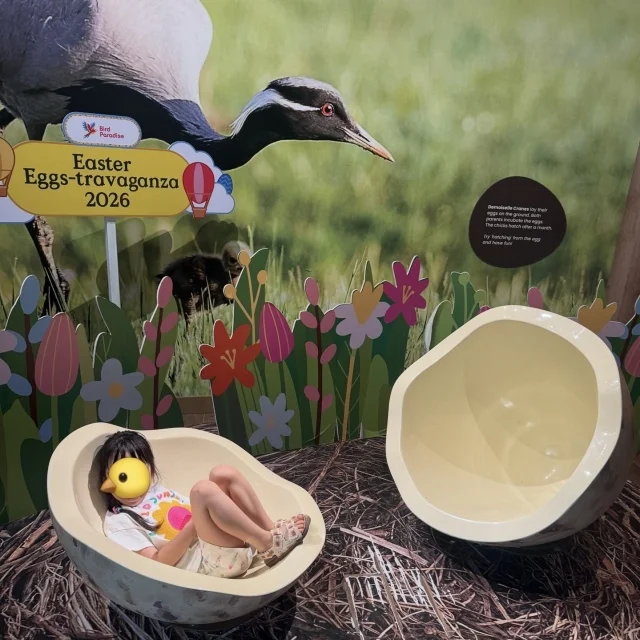 今さら聞けない“イースター”って何？40代からの大人の教養をシンガポールで再発見_1_2