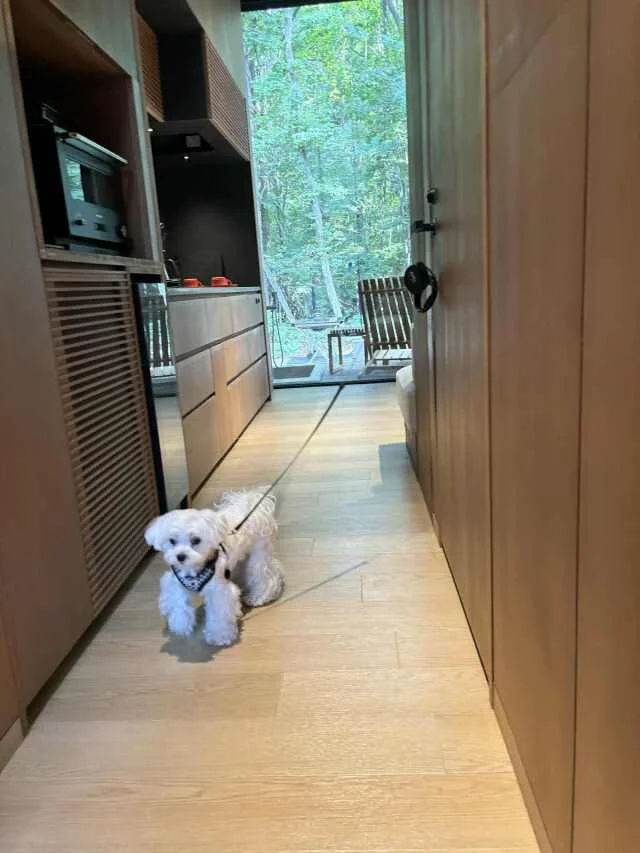 【NOT A HOTEL KITAKARUIZAWA〜旅行記①】想像を超えた感動体験_1_8-2