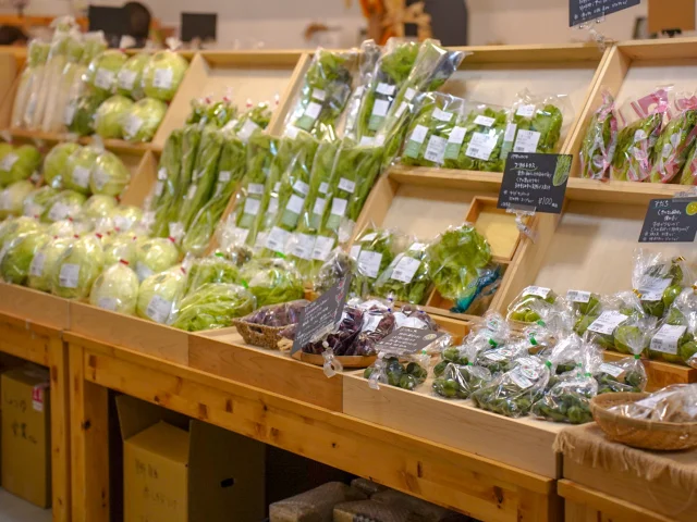 マルシェ　VISON