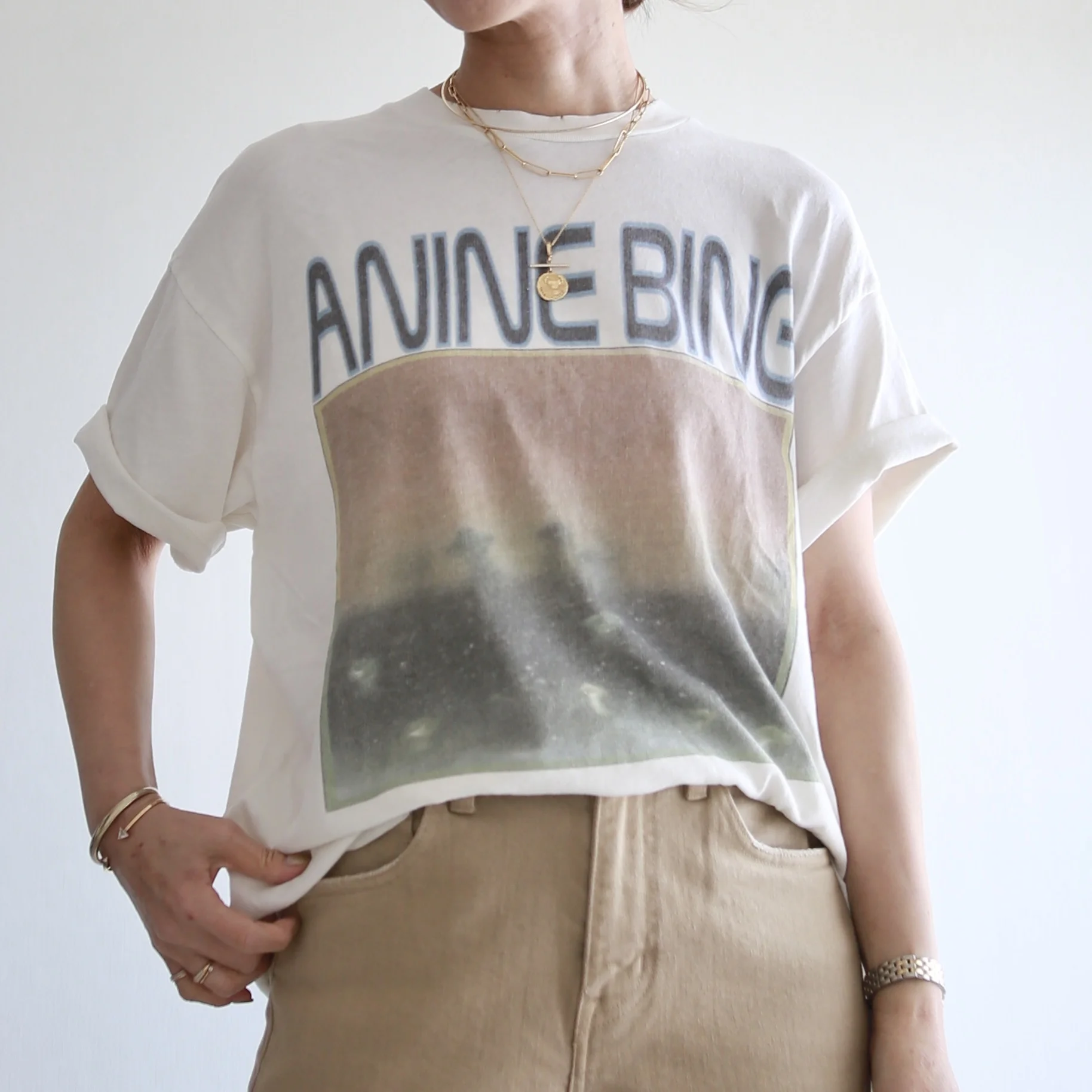ANINEBING プリントTシャツ　marisol bemiコラボ ベージュデニム　別注　healthydenim pinkpepper wide 着回し