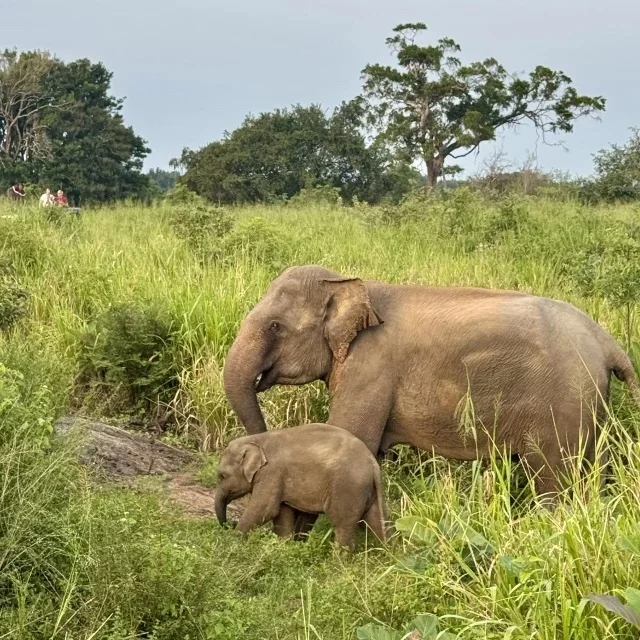 円安時代の海外旅行。体験重視で楽しむ新しい旅のかたち【トラベル】_1_46