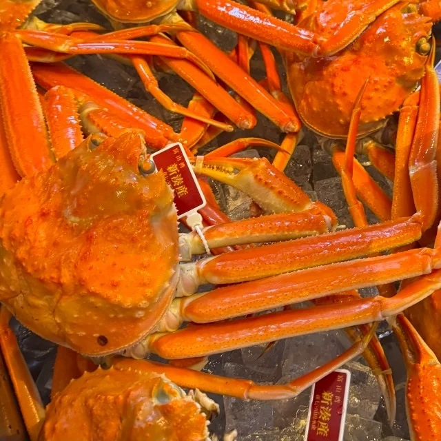 【寿司といえば、富山】迷ったらここ！オススメする理由も納得の２店_1_16