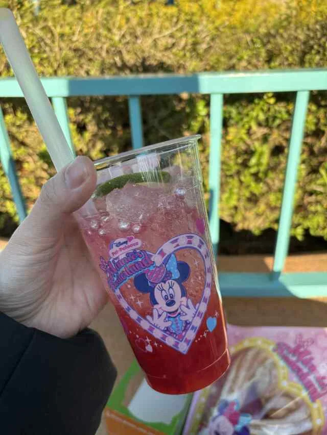 【ディズニーランド初心者＆久々さん向け】大混雑期のお正月子連れディズニー振り返り_1_6-2