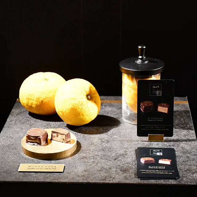 Lindt(リンツ）スイス発チョコレートブランド　プラリネ　メルティーショコラティエ　フランスのチョコレート職人　特別販売　期間限定のチョコレートギフト　手土産セレクション　パーティーのお取り寄せ