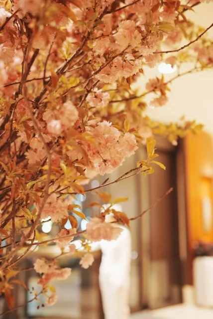 美食×カクテルの新体験！ザ・ペニンシュラ東京『Peter』で過ごす、一歩先行く大人女子会_1_1-2