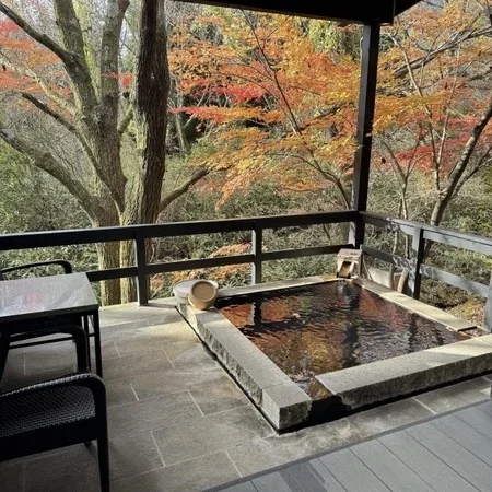 大人の冬旅まとめ。美女組が行ってよかった温泉・美食・海外_1_8-1