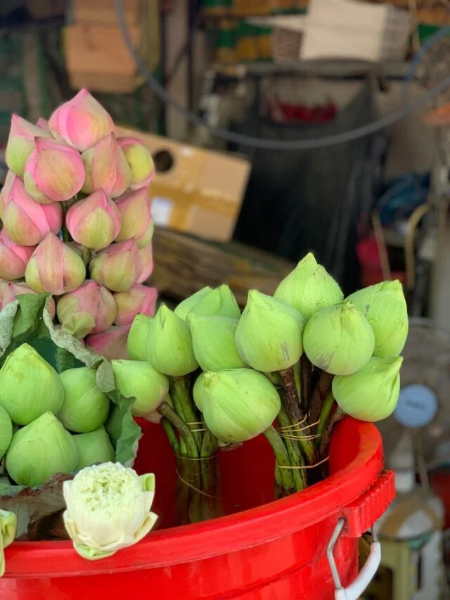 ベトナムの花市場へ。_1_4