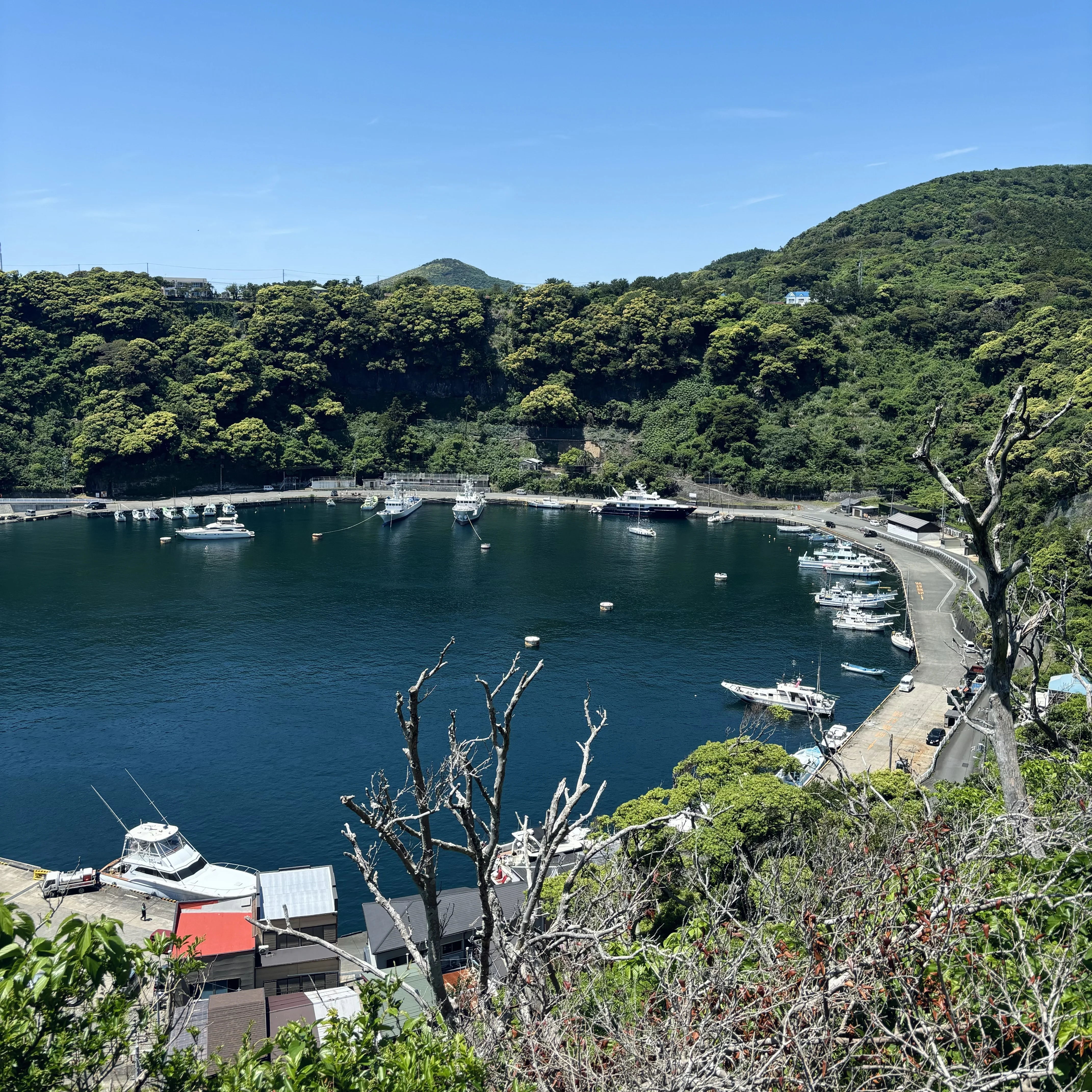 【伊豆大島】子連れでも楽しめた！ 初めての離島