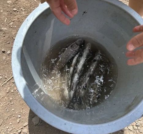 GWは小田原で。家族で楽しむ“釣って・食べて・癒される”休日_1_6
