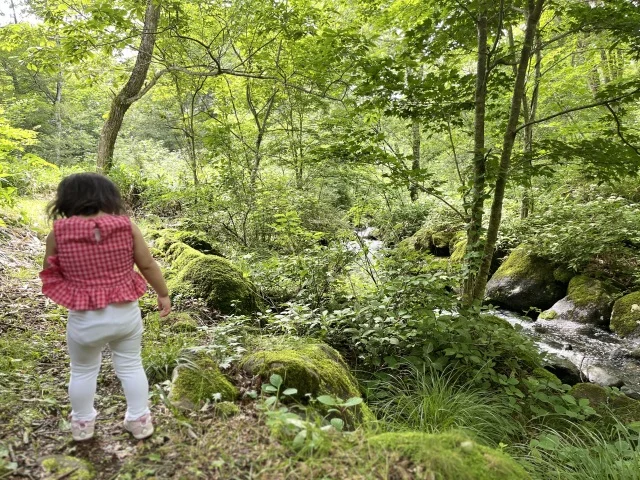 歩いて3分ほどで大自然。子供も大喜び！