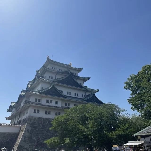 シンボルの金のシャチホコが輝く名古屋城
