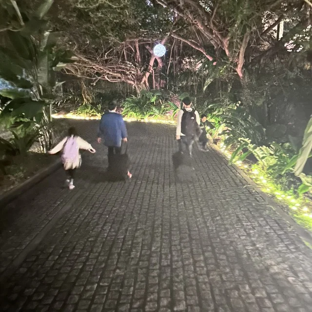 【子連れ沖縄レポ①】冬の隠れ家「ココガーデン」に3連泊！9歳・6歳が夢中になったルネサンスでのサトウキビ狩り_1_2-1