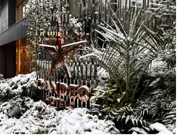 都心で深呼吸できる場所 ― カンデオホテルズ東京六本木 滞在記 ―_1_25