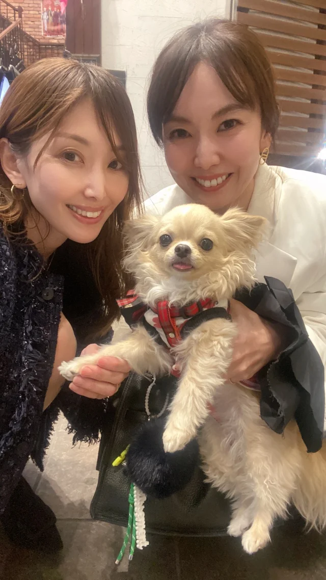 【大阪の下町・こんな都会に？】わんこと行けるちょっと特別な癒しカフェ見つけた🐾_1_4-2