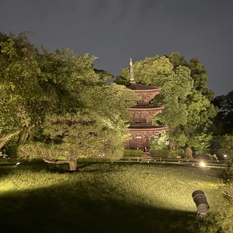 【都心で雲海と蛍鑑賞】友人とホテルディナーをしてきました!_1_6