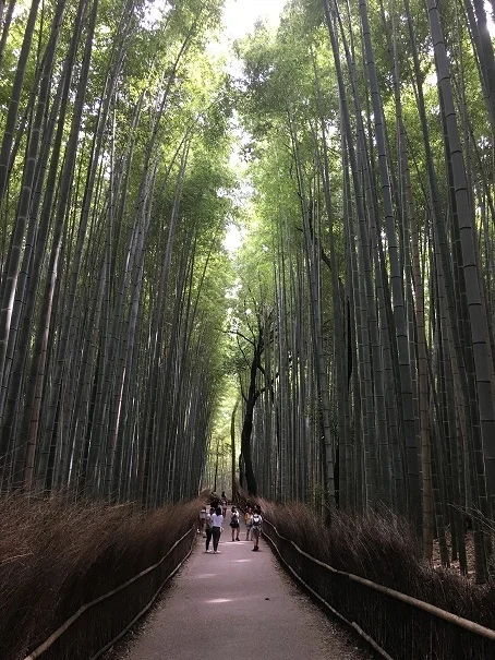 初秋の京都女子旅～観光編～♪